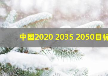 中国2020 2035 2050目标